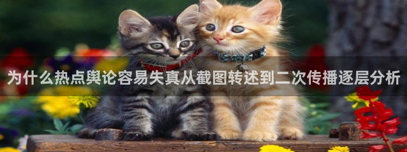 51吃瓜话题大全